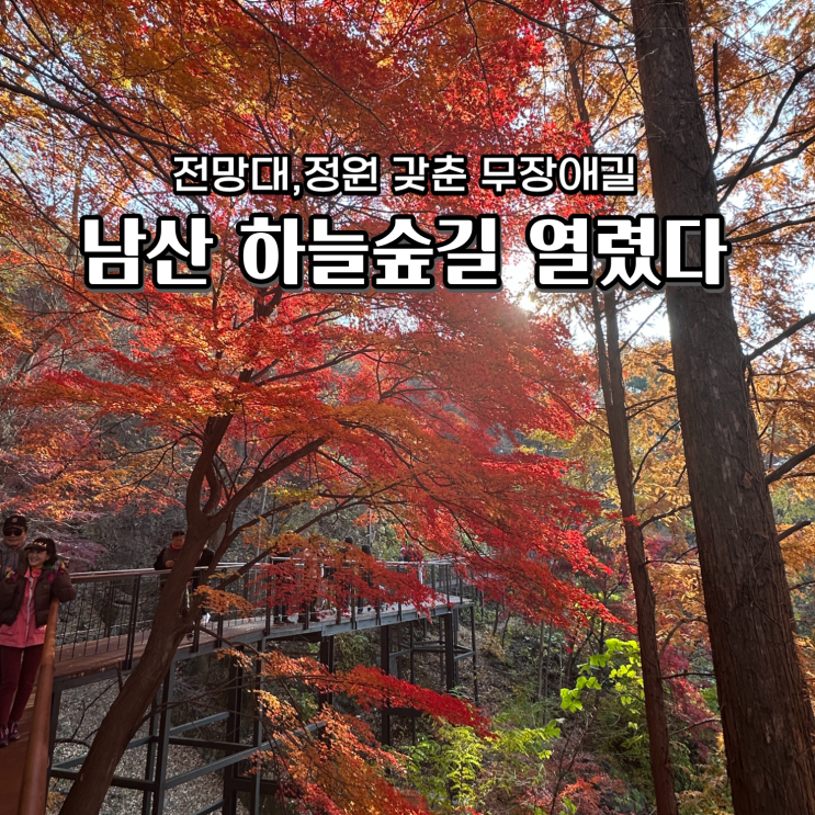  남산하늘숲길 주차 가는길 반려견 서울단풍 명소 가볼만한곳