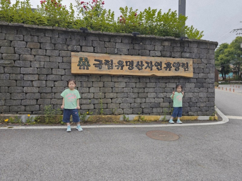 [가평] 유명산 자연휴양림(산돼지)