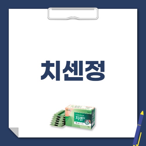 치센정 성분 효과 부작용 복용법 가격 핵심만 정리