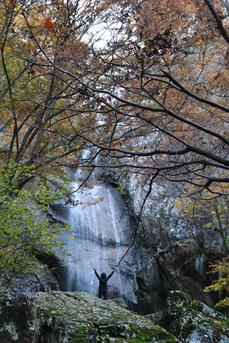 사진 8