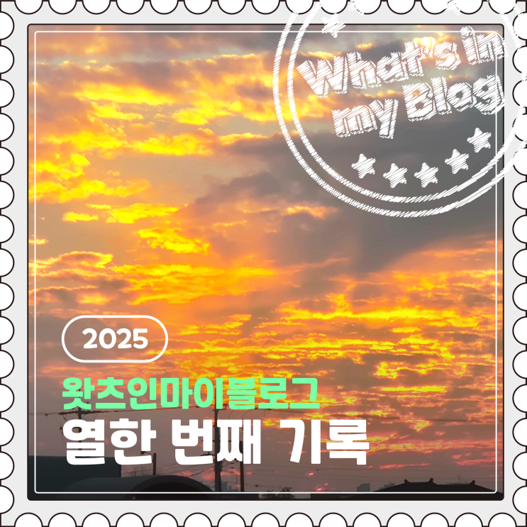  2025 블로그 챌린지, 왓츠인마이블로그 열한 번째 기록️