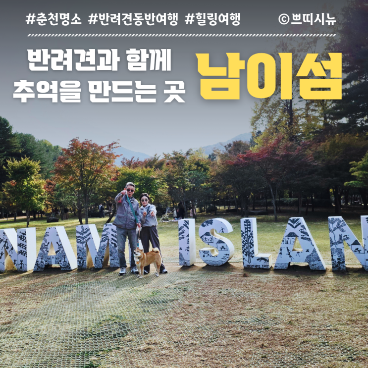  남이섬 반려견 입장 여행 가이드 | 배 시간·주차·모터보트 팁까지, 기억을 걷는 하루