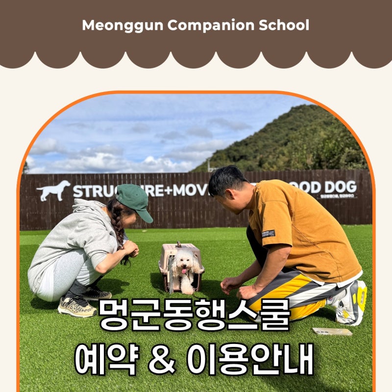 사진 4