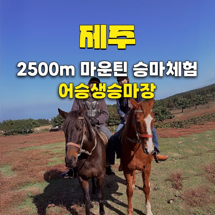  어승생승마장 제주승마체험｜제주도 2박3일 여행코스자유로운 2,500m A코스 후기