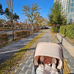 디럭스 유모차 오르빗 G5 사용후기