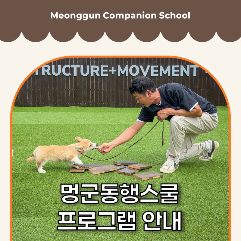 멍군동행스쿨,멍군하우스