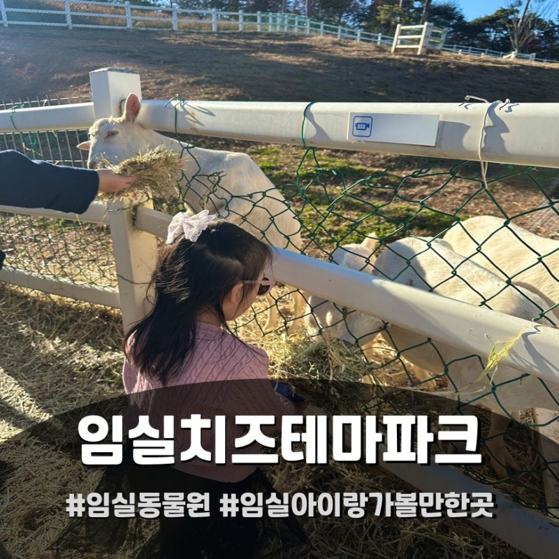 전북 임실치즈테마파크 미니동물원 먹이체험 아이랑 가볼만한 곳