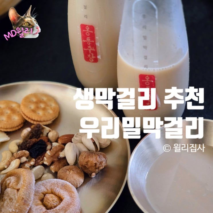 옹동주조장 우리밀막걸리 생막걸리 전통주 추천
