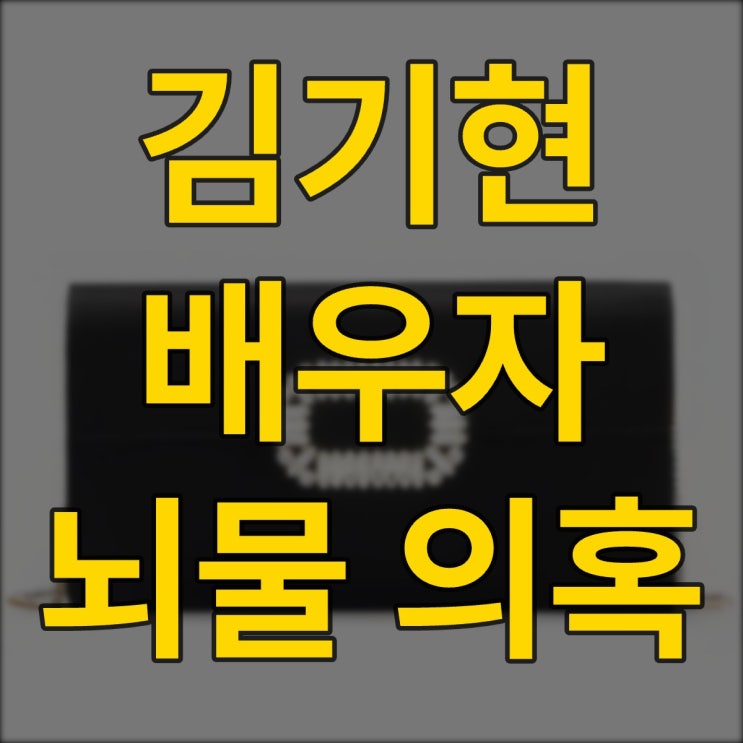 울산 <b>김기현 배우자</b> 명품100만원대 로저 비비에 뇌물 의혹