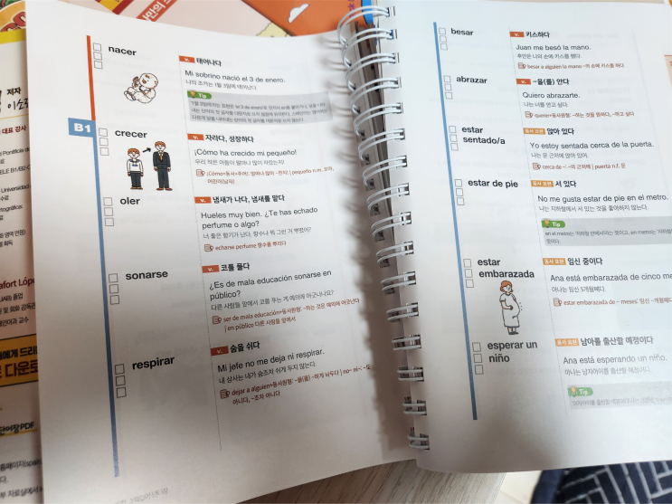 [시원스쿨 스페인어] 왕초보 탈출 두번째 학습 일지