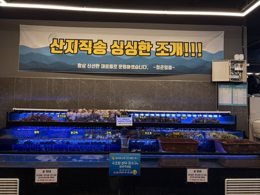 청춘무한리필 조개구이 충북혁신점 사진 4