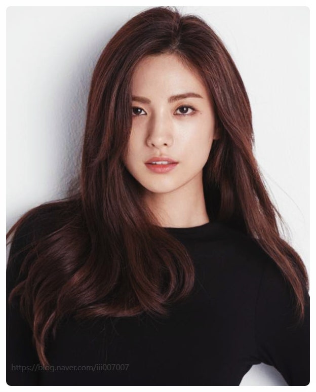  나나 특공무술 4단 어머니 강도 제압 사건 전말 정리