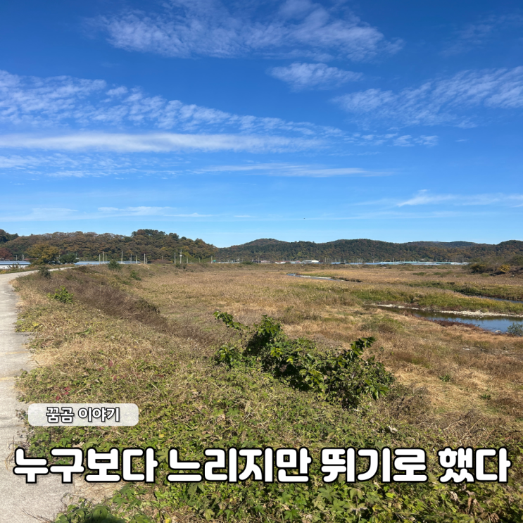  누구보다 느리지만 뛰기로 했다
