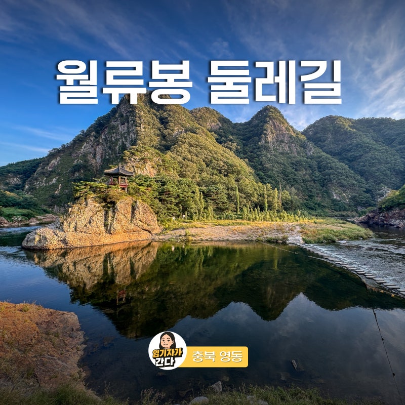 사진 9