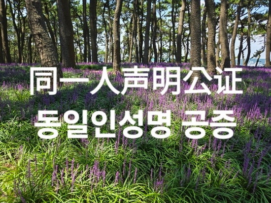  중국 동일인성명서(同一人声明书) 공증 아포스티유