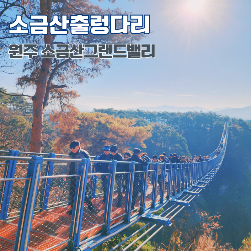 사진 7