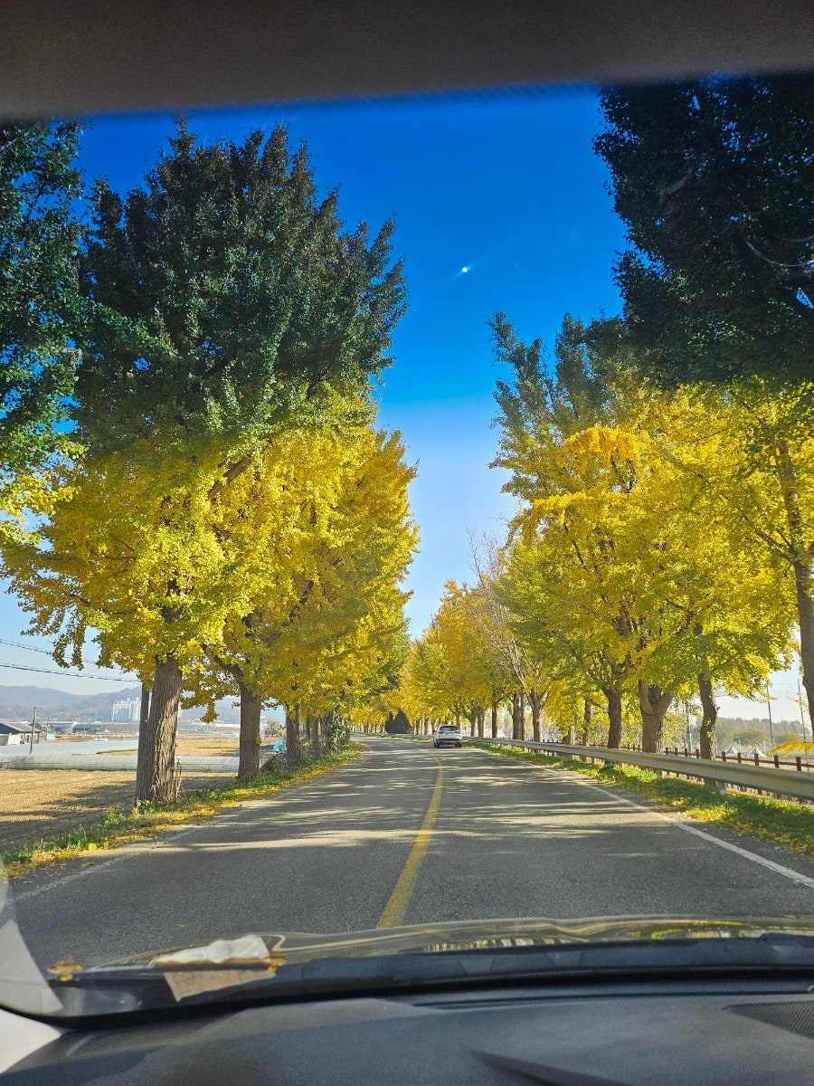 수카페 사진 2