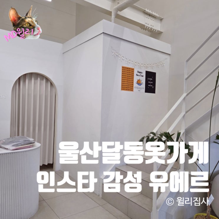  울산 달동 여성 의류 옷가게 유에르 30대 여성옷 추천
