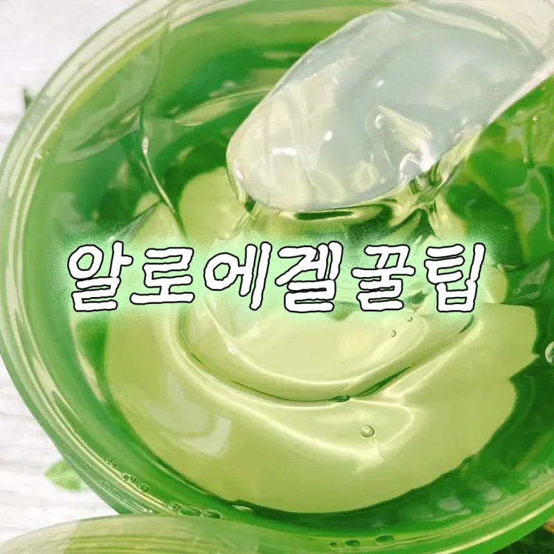 알로에수딩젤 환절기 수분팩 사용법 (알로에겔로 팩 만들기, 효능)