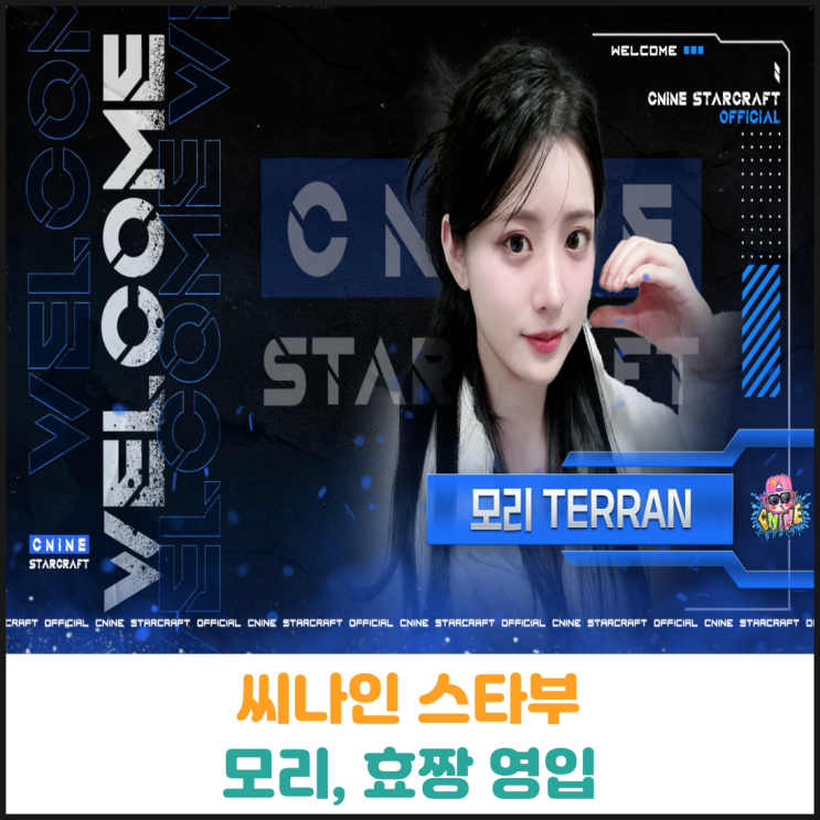  씨나인 스타부 모리, 효짱 영입