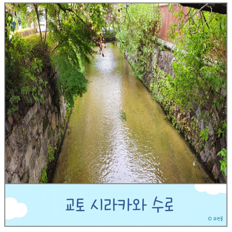  교토 현지인 추천 가볼 만한 곳 시라카와 수로 오사카 근교 당일치기 여행