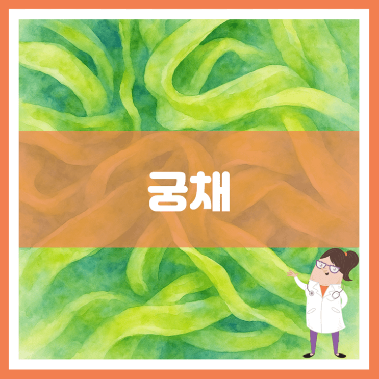  궁채 효능 부작용 보관방법