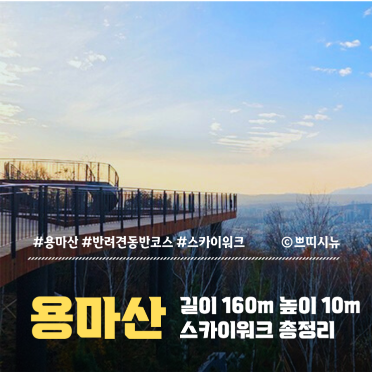  주말 나들이 코스, 서울둘레길 ‘용마산 스카이워크’ | 반려견 동반·주차장·길찾기 총정리