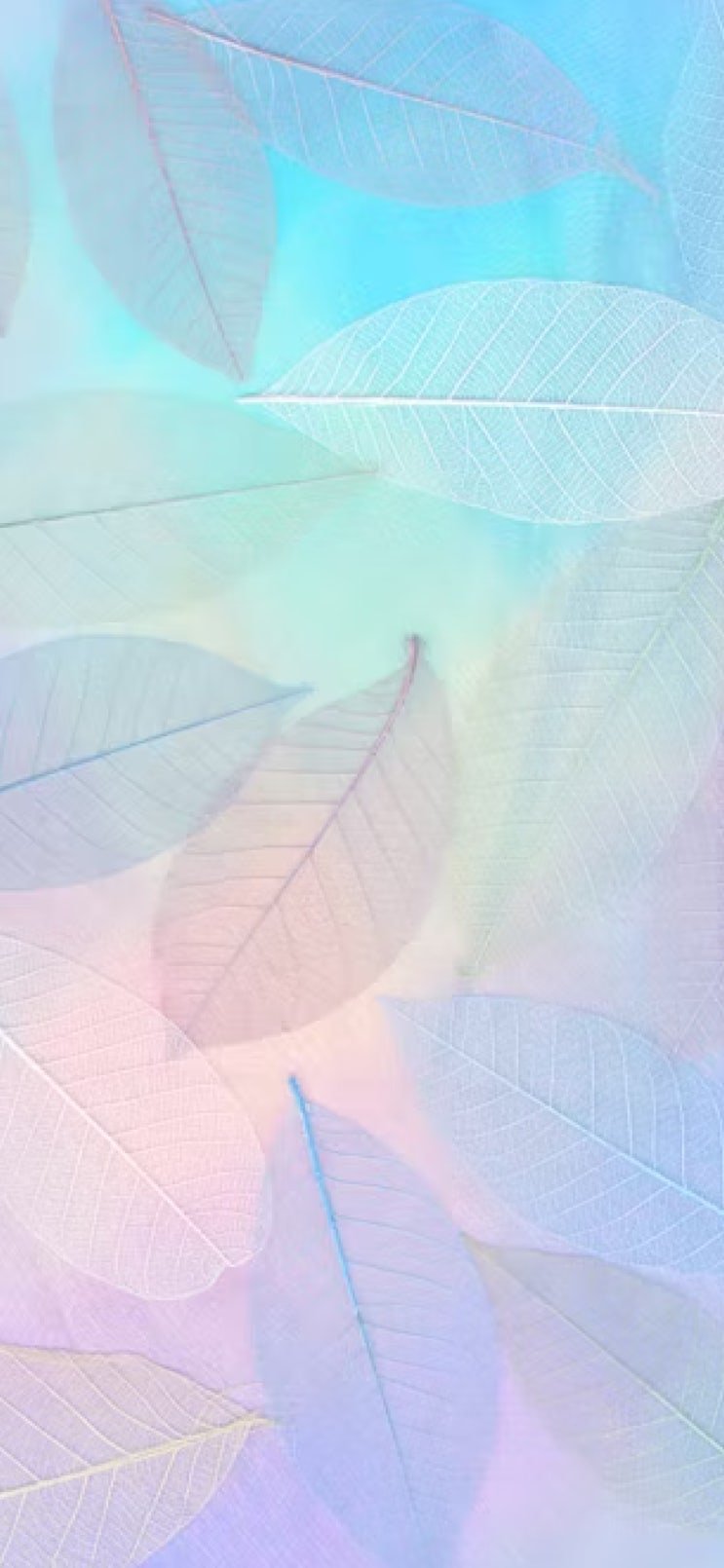  갤럭시25 케이스에도 어울리는 감성 배경화면,일상,파스텔 배경