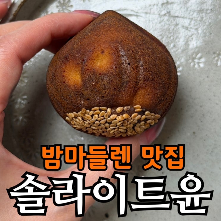  인천 휘낭시에 맛집 솔라이트윤 택배 후기 | 밤마들렌·레몬마들렌 내돈내산 리뷰