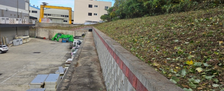  기장군 정관읍 산단1로 66-81 공장 옹벽 상부 300평 칡넝쿨 제거대행("기장예초대행")