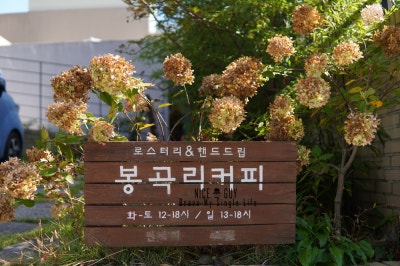 사진 4