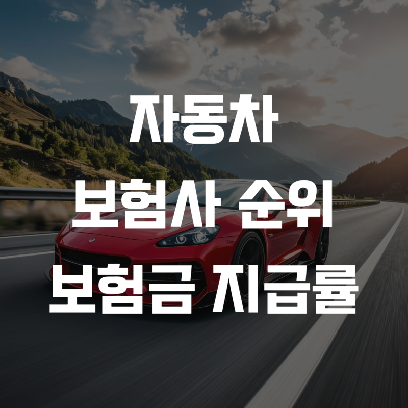 자동차 보험사 순위와 보험급 지급률