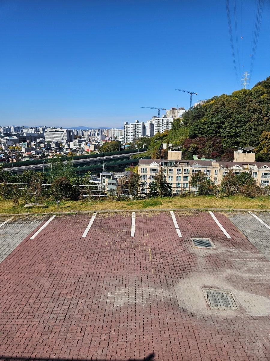 캄파니아 사진 4