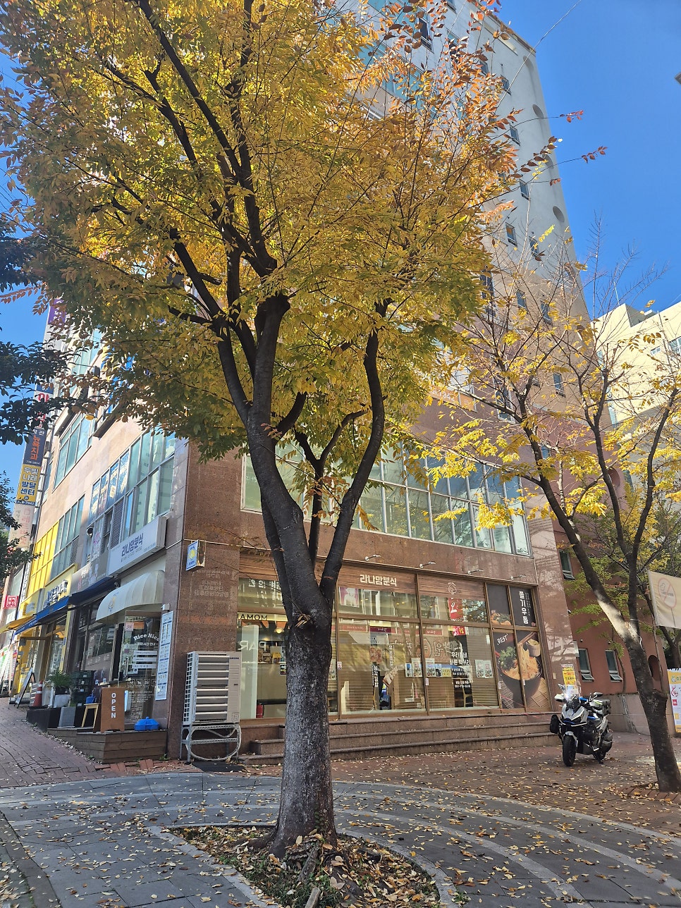 라나맘분식 정관점 사진 1