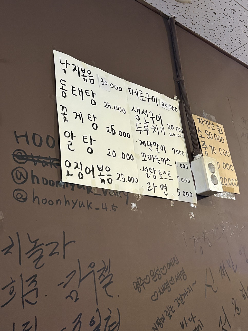 회란 사진 2