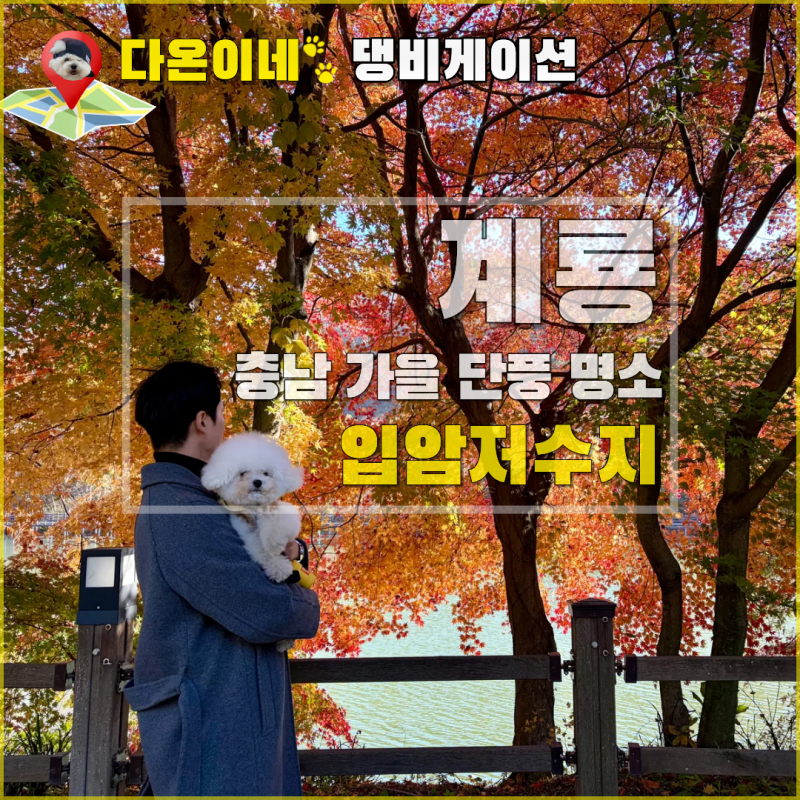 충남 계룡 애견 동반 여행 - 강아지랑 가을 단풍 명소 입암저수지