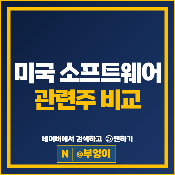 미국 소프트웨어 관련주 인튜이트 우버 팔란티어 주가 CRM 마이크로소프트 주식