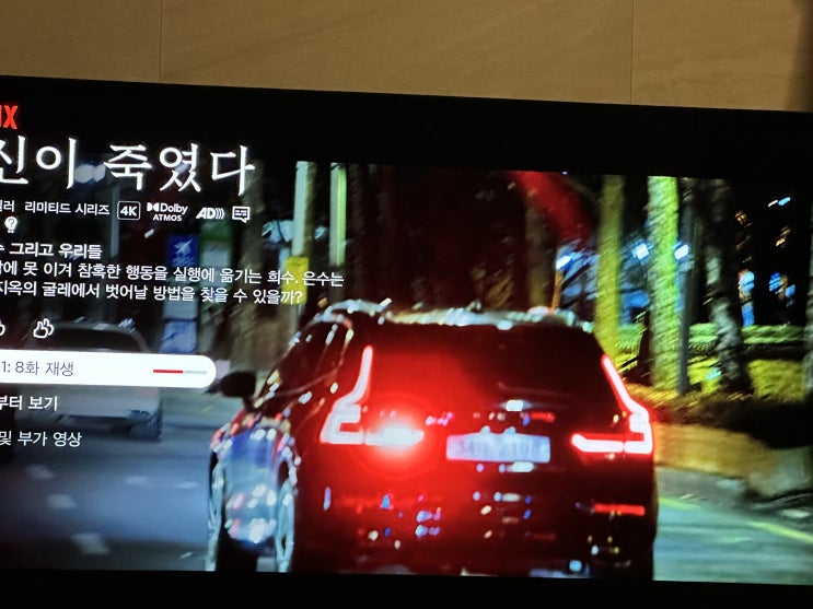  당신이 죽였다 넷플릭스 영화 아니고 드라마 추천 그리고 볼보차와 텔루라이드까지