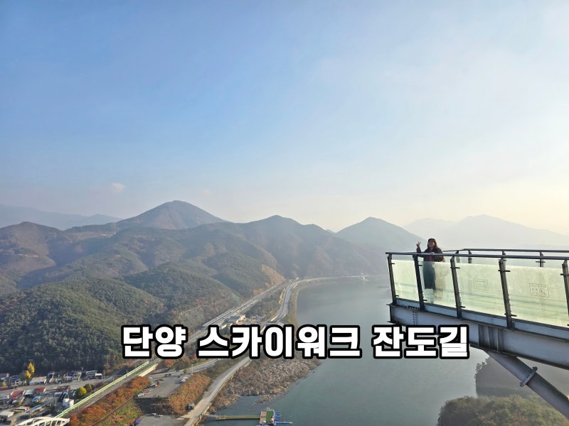 사진 6