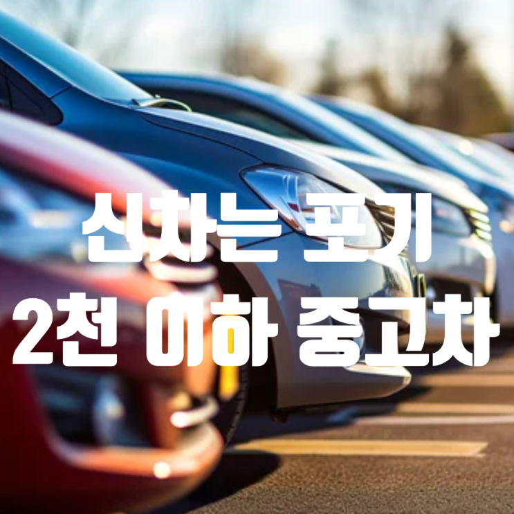  “신차값 보고 포기했다면” 2천만원 이하 중고차 추천 리스트