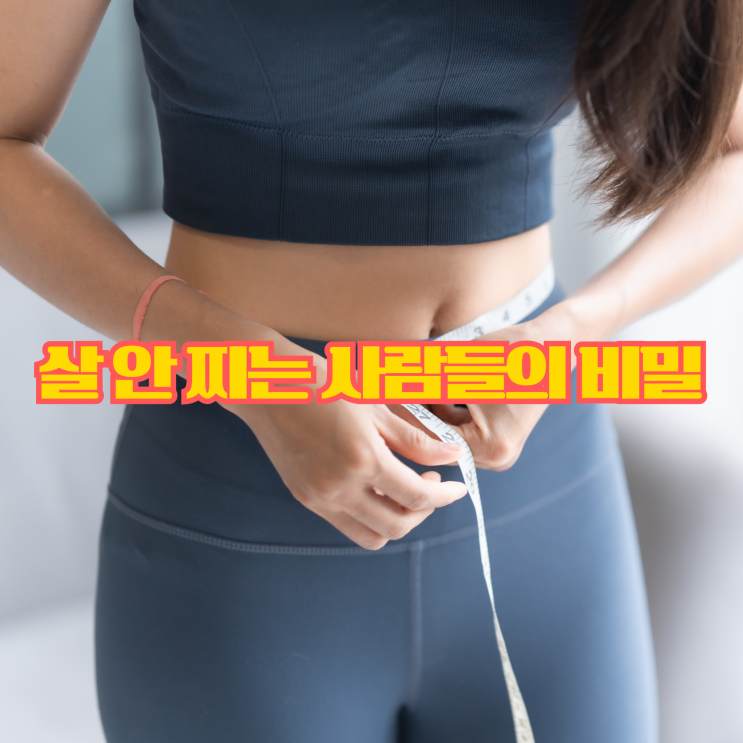  왜 어떤 사람은 살이 안 찔까? 생활 습관부터 체질까지 핵심만 정리