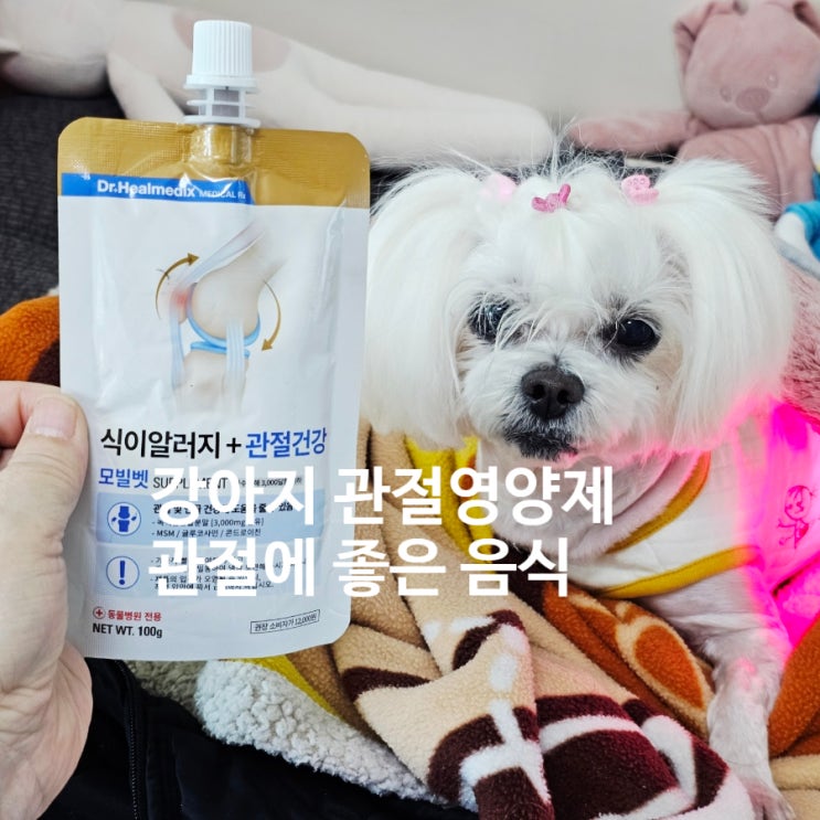  강아지 관절과 연골을 위한 투자! 강아지 관절 영양제 및 음식