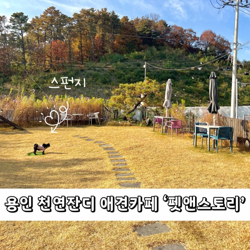 사진 7