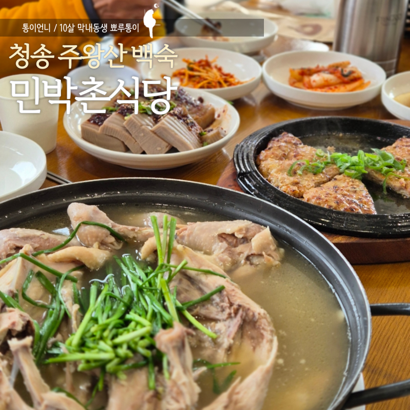 청송 주왕산 단풍산행에 방문하기 좋은 닭백숙 맛집 민박촌식당