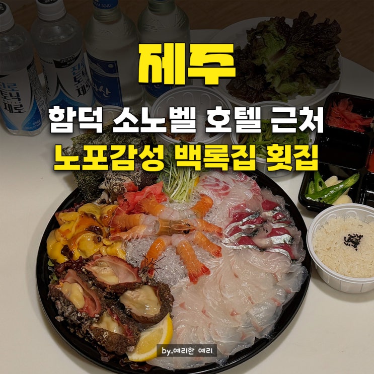  함덕 횟집 재방문 백록집｜제주 소노벨 근처 함덕맛집, 제주고등어회 모둠회 재방문