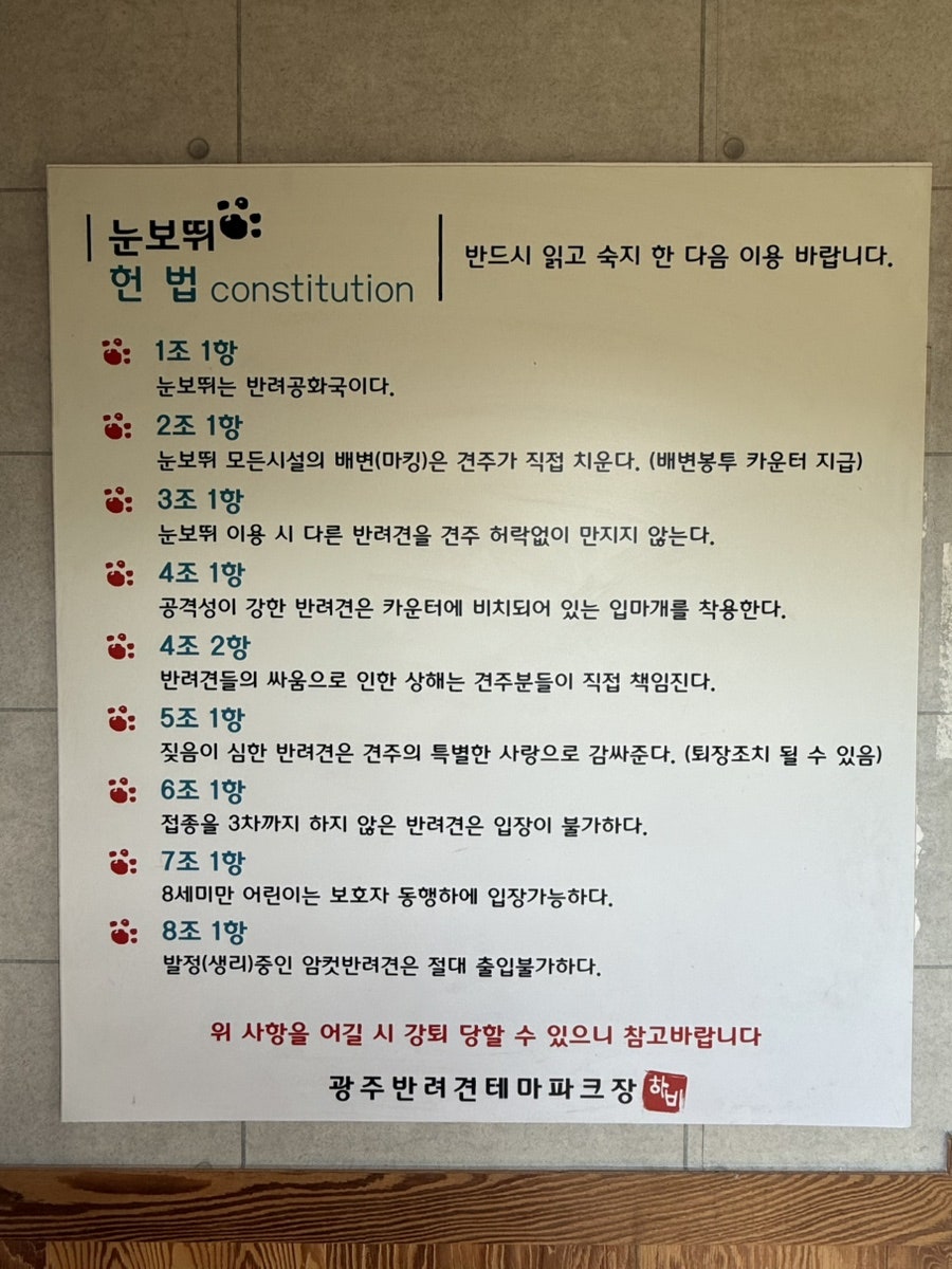 눈보뛰 사진 5