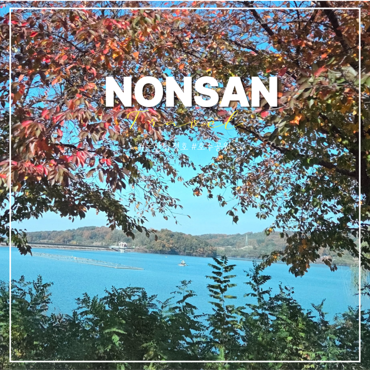  논산 탑정호 출렁다리 입장료 음악분수 시간 수변생태공원