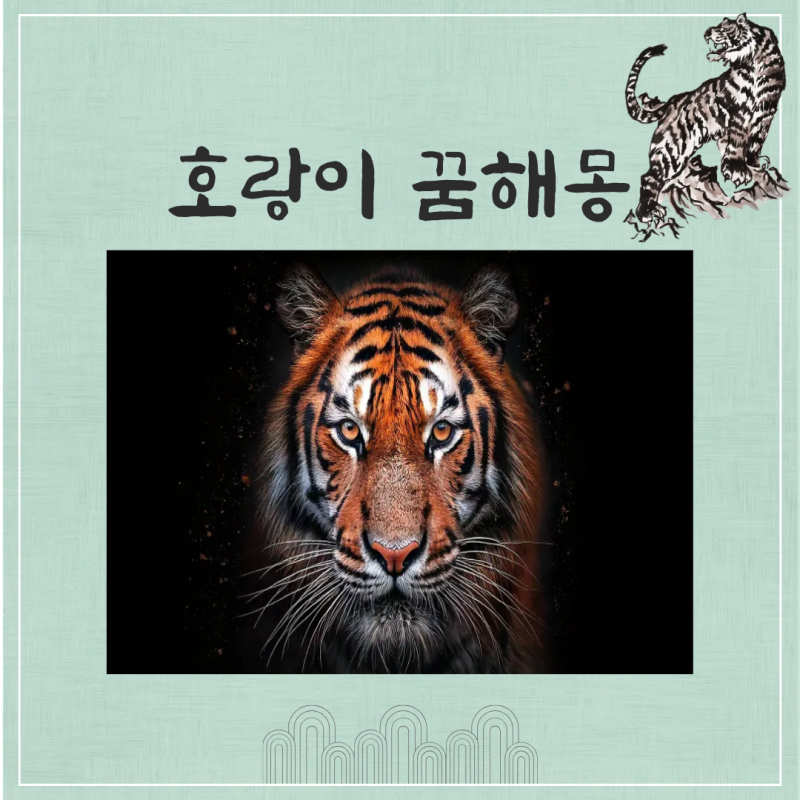 호랑이 나오는 꿈 싸우는꿈 죽이는 꿈 태몽관련 꿈해몽 총정리