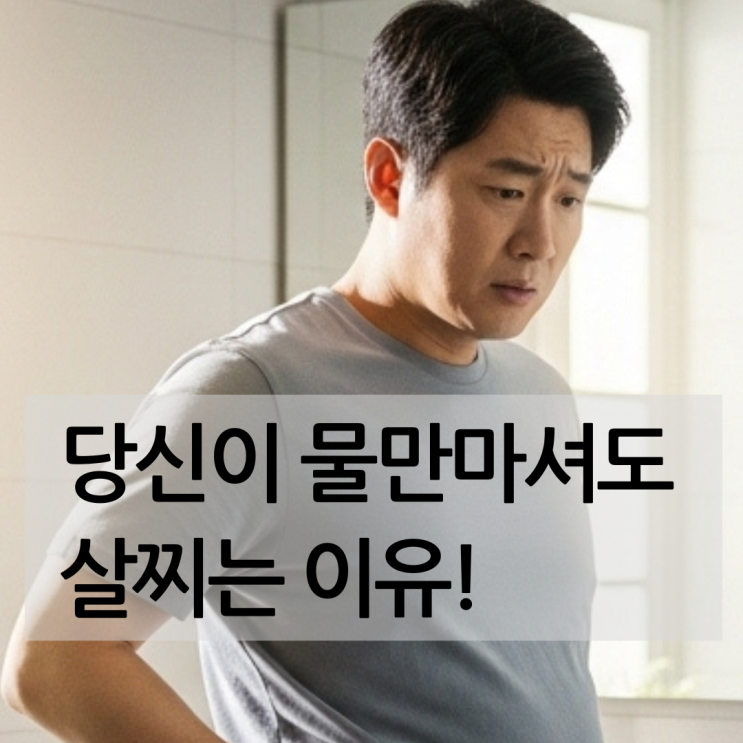  30대 후반 직장인이 꼭 알아야 할 성인남성기초대사량의 비밀. 원리부터 늘리는법 까지