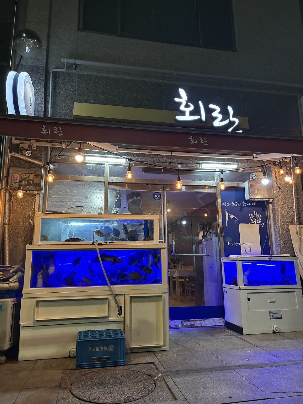 회란 사진 1